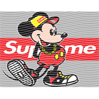 Brand Catalog-ZX 994